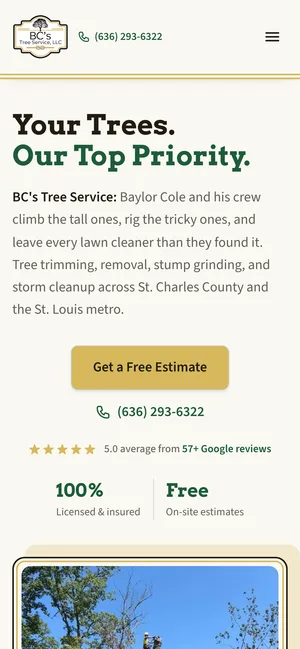 BC's Tree Service home page on a phone